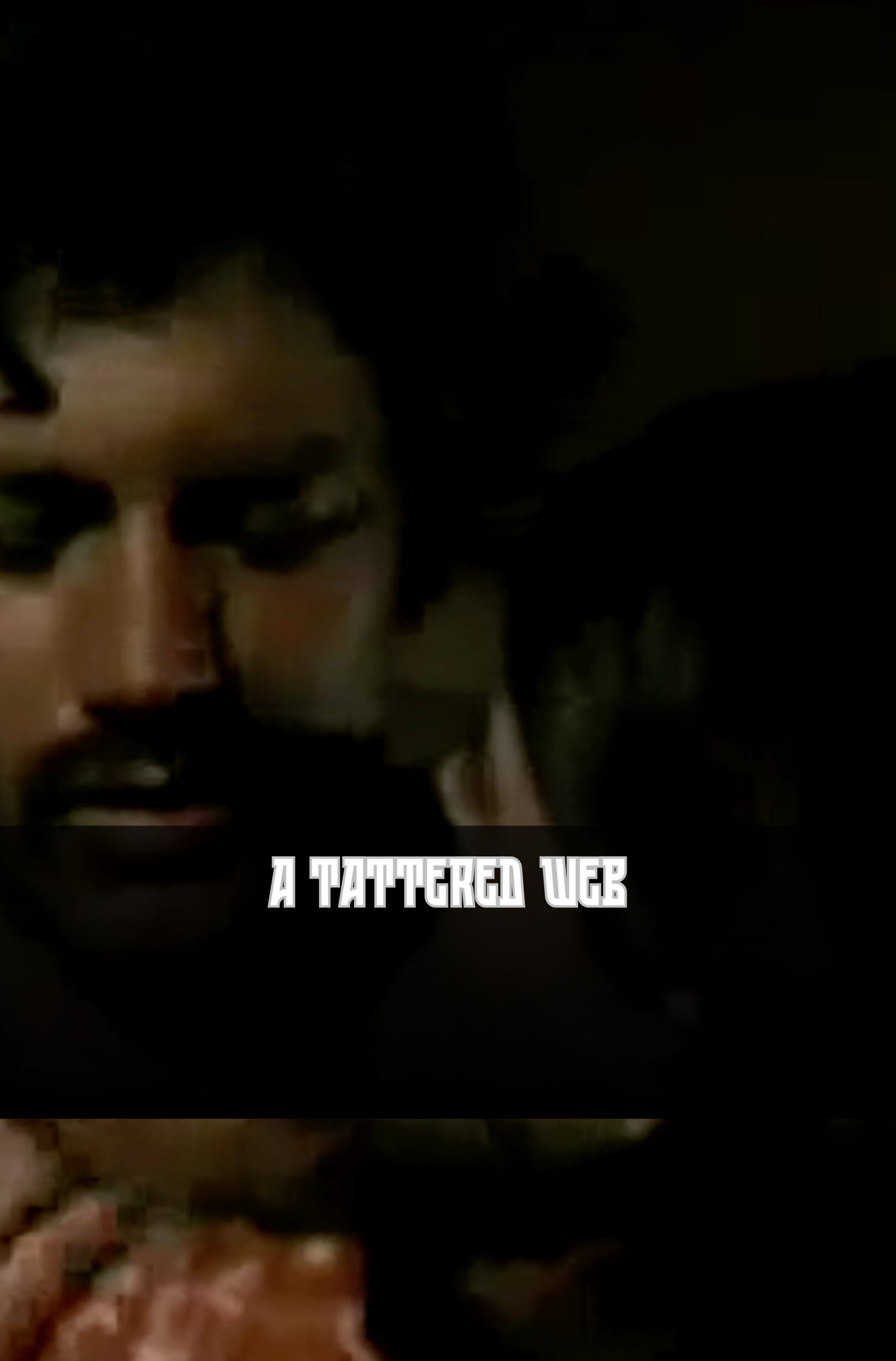 A tattered Web