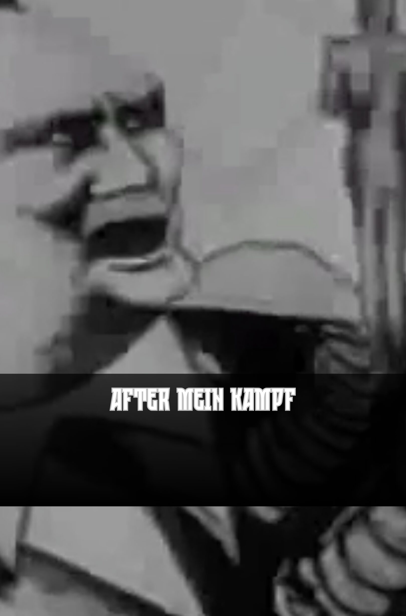 After Mein Kampf