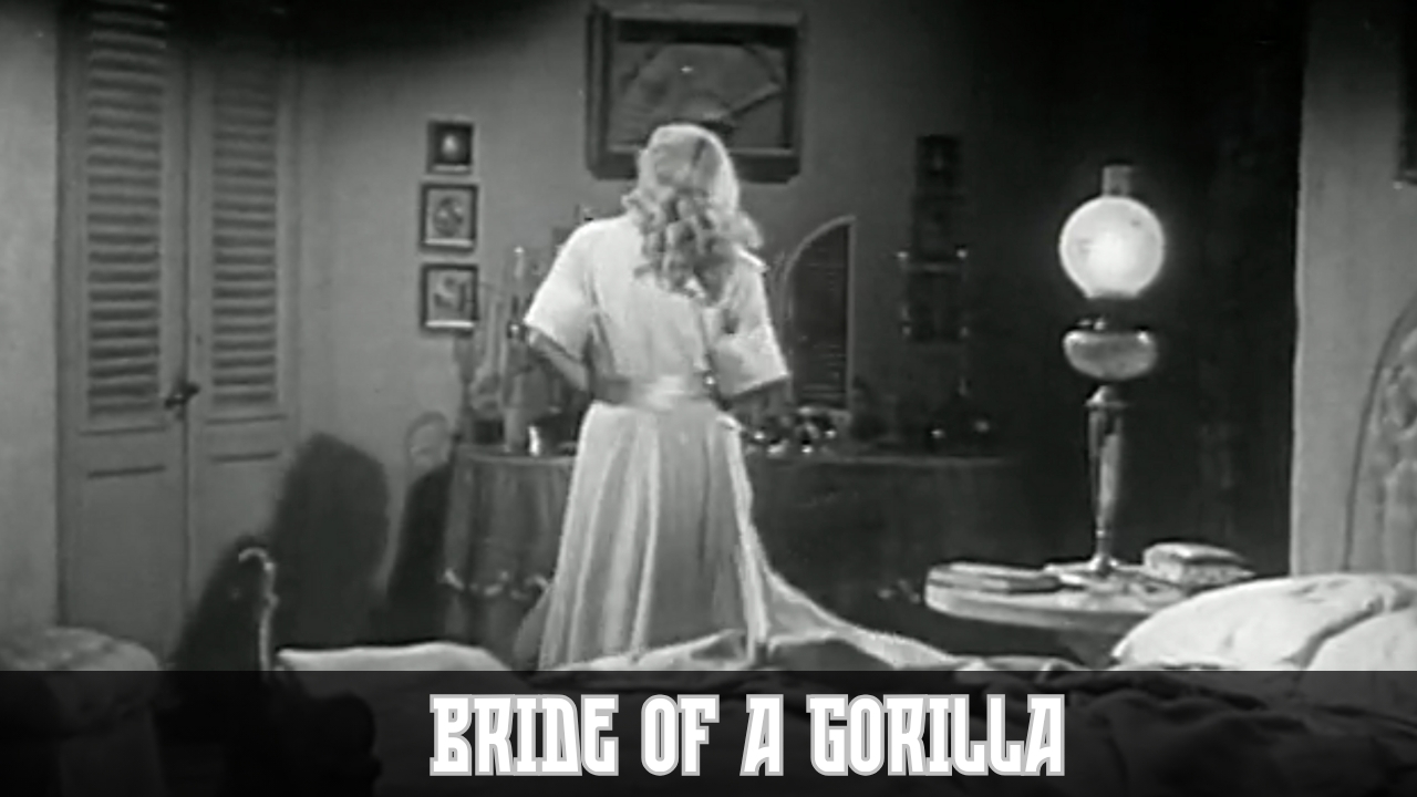 video-section-banner-image