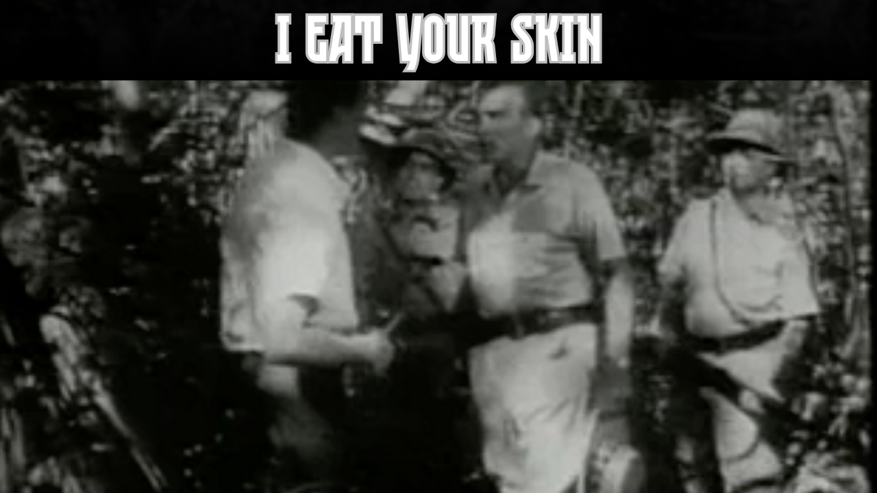 video-section-banner-image