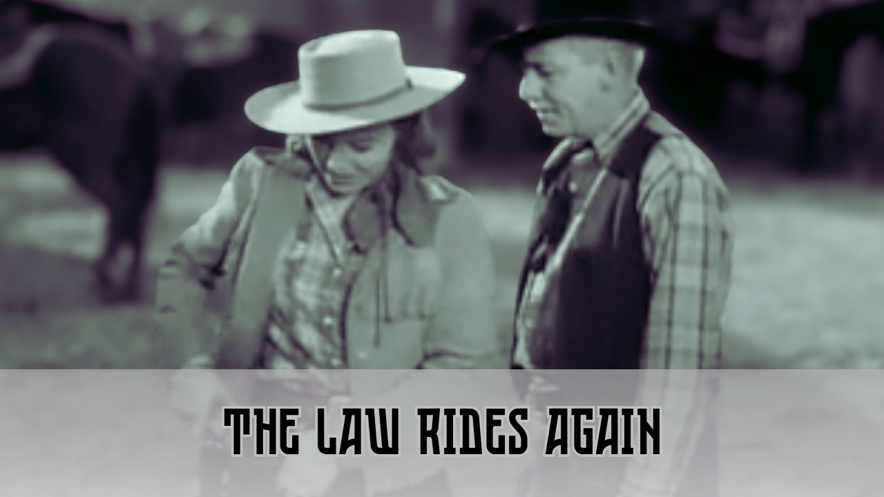 video-section-banner-image