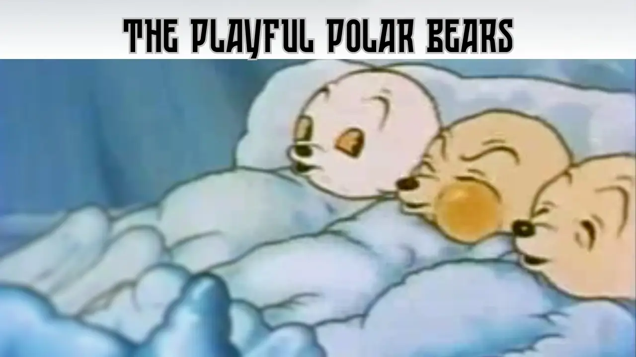 video-section-banner-image